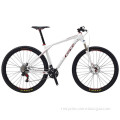 GT Zaskar Carbon 29er Expert 2012 Mountain Bike